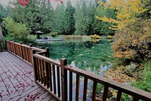 Pond Studio Suite with 1 King Bed and 1 Queen Sofa Bed, Room #16 (Pet Friendly) | Property amenity