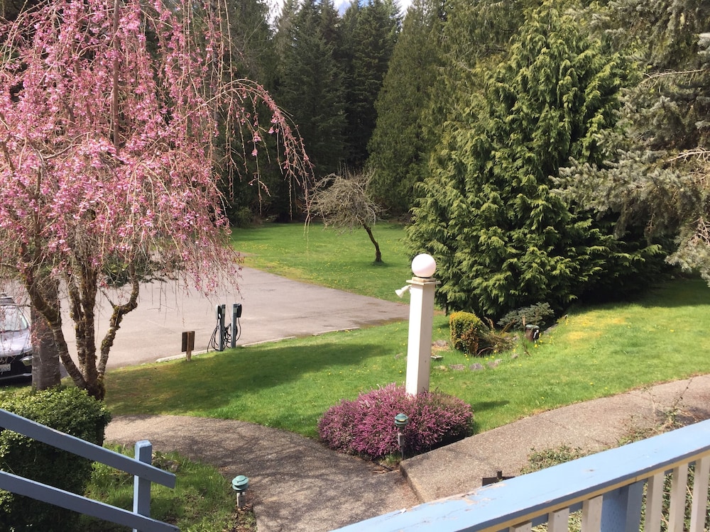 Alexander's Lodge At Mt Rainier by null