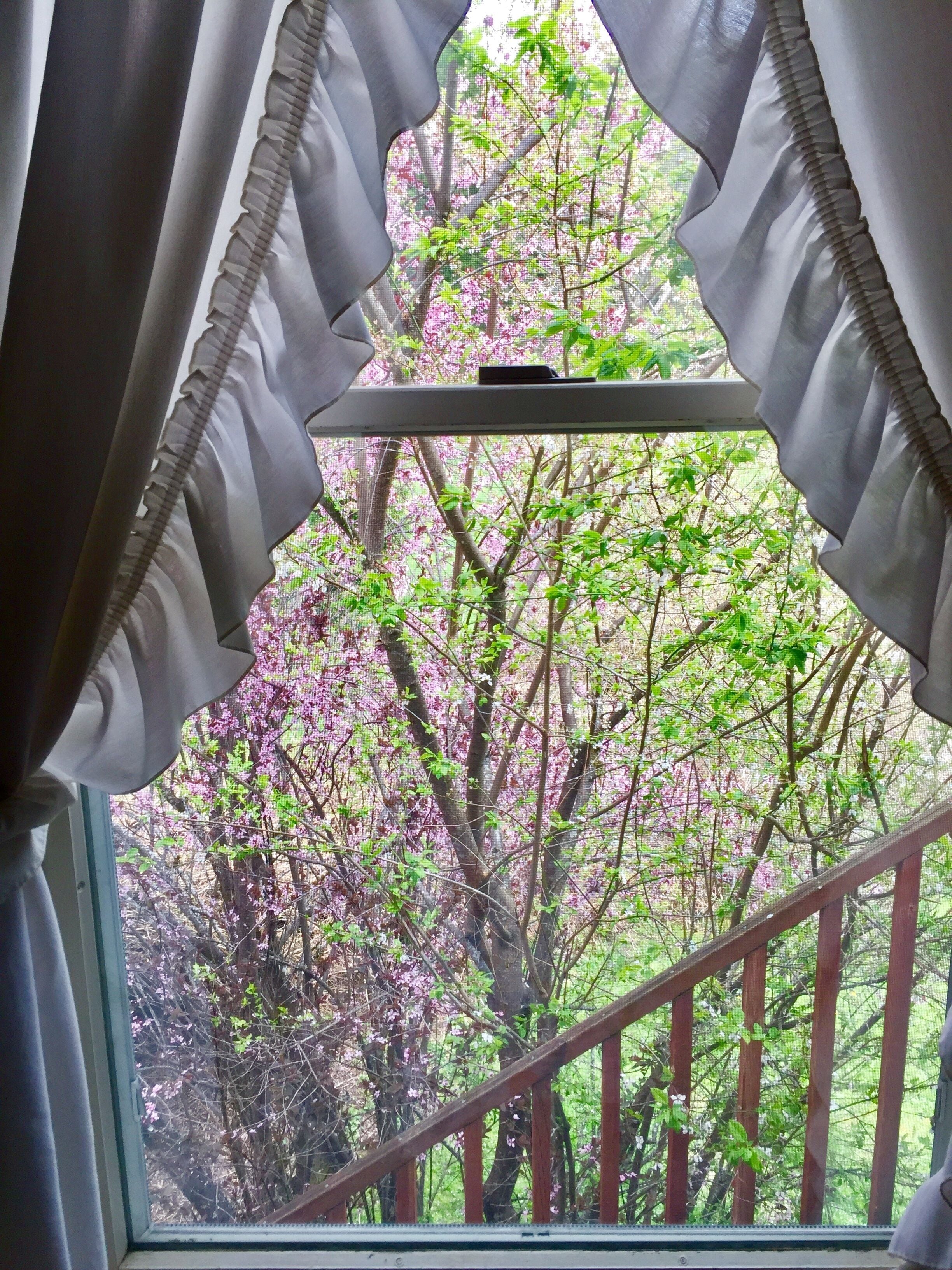 1 queen bed with private external bathroom (no pets) | view from room