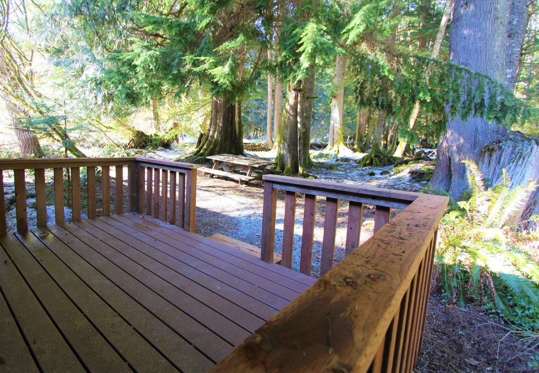 Perhesviitti, 1 suuri parisänky ja vuodesohva, näköala puutarhaan | Terassi/patio