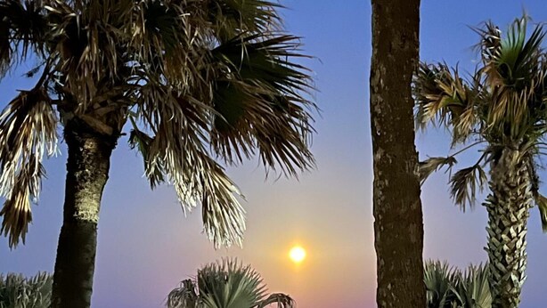 A sunset view from a wooden deck with a railing, overlooking a calm sea and palm trees. - Flamingo Inn Beachfront (Daytona Beach Shores)