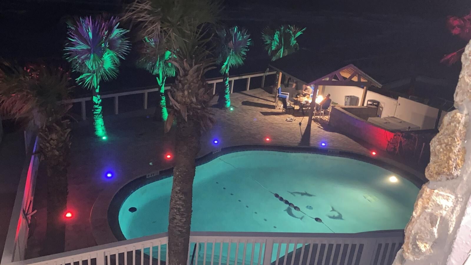 A swimming pool with a white fence, palm trees, and colorful lights.