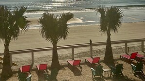 A beachside view with palm trees, red lounge chairs, and a clear view of the ocean. - Flamingo Inn Beachfront (Daytona Beach Shores)
