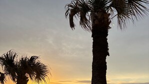 A beach view with palm trees and a pool area. - Flamingo Inn Beachfront (Daytona Beach Shores)