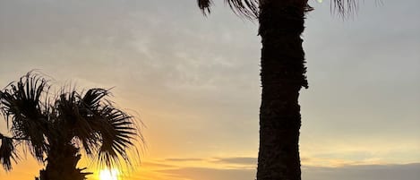 Accommodatie ligt op het strand