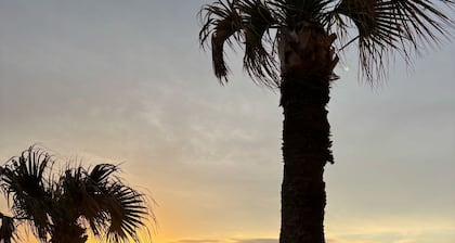 Flamingo Inn Beachfront