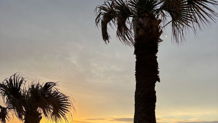 Flamingo Inn Beachfront