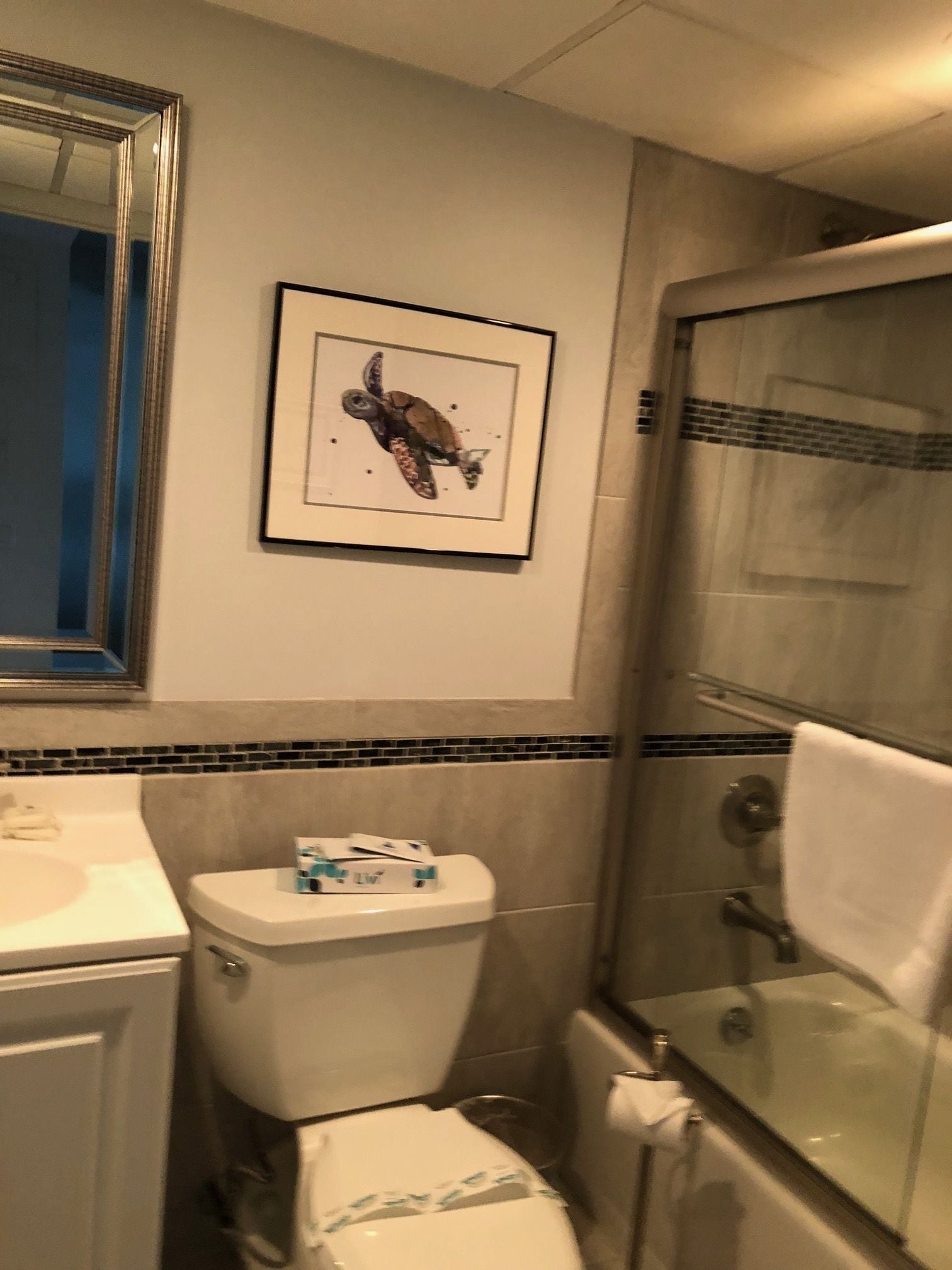 A bathroom with a toilet, sink, and shower. There is a framed picture of a turtle on the wall.