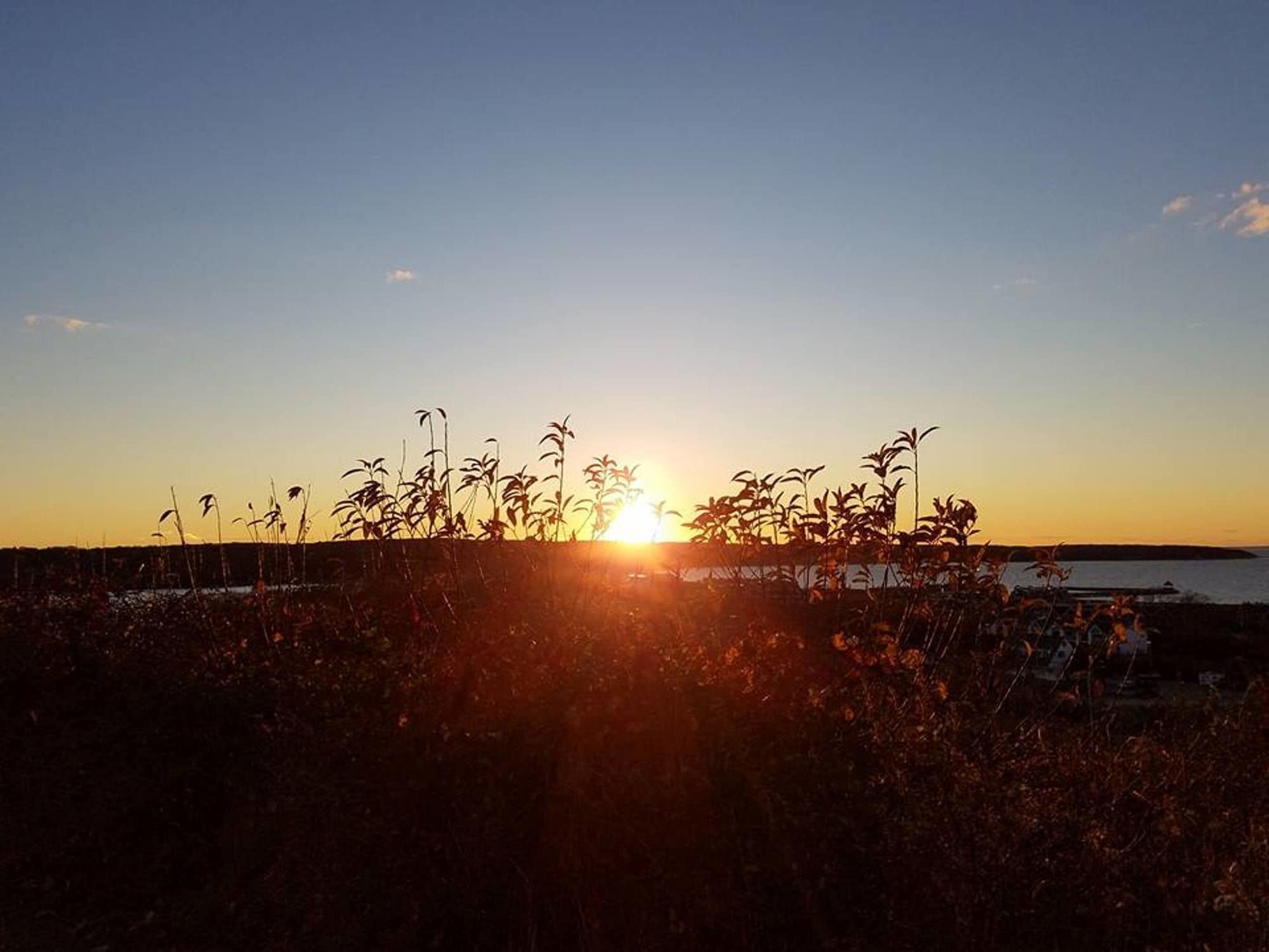 Foto - Montauk Manor