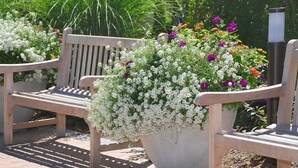 A wooden bench with a large planter in front. - Montauk Manor (Montauk)