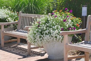 Detalle del exterior