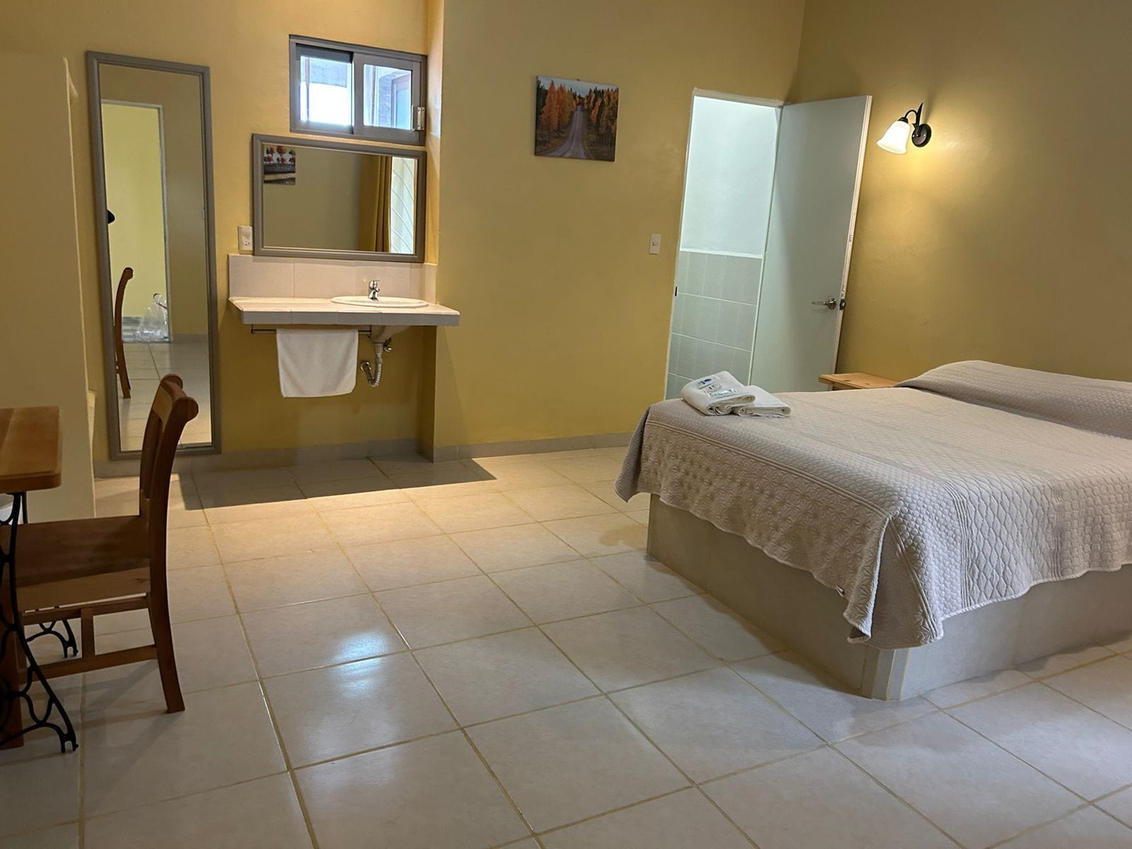 Una habitación de hotel con cama, mesita de noche, silla, lavamanos y espejo.
