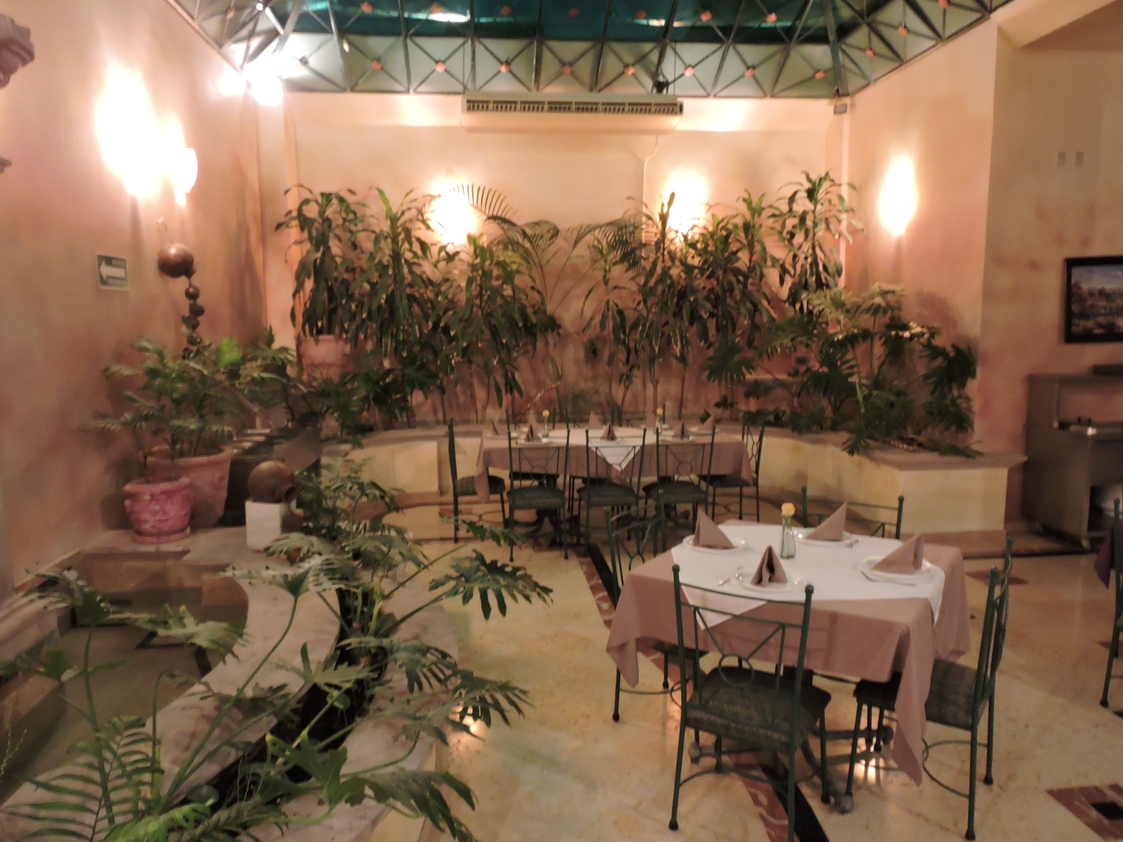Un comedor interior con mesas y sillas, rodeado de plantas en macetas.