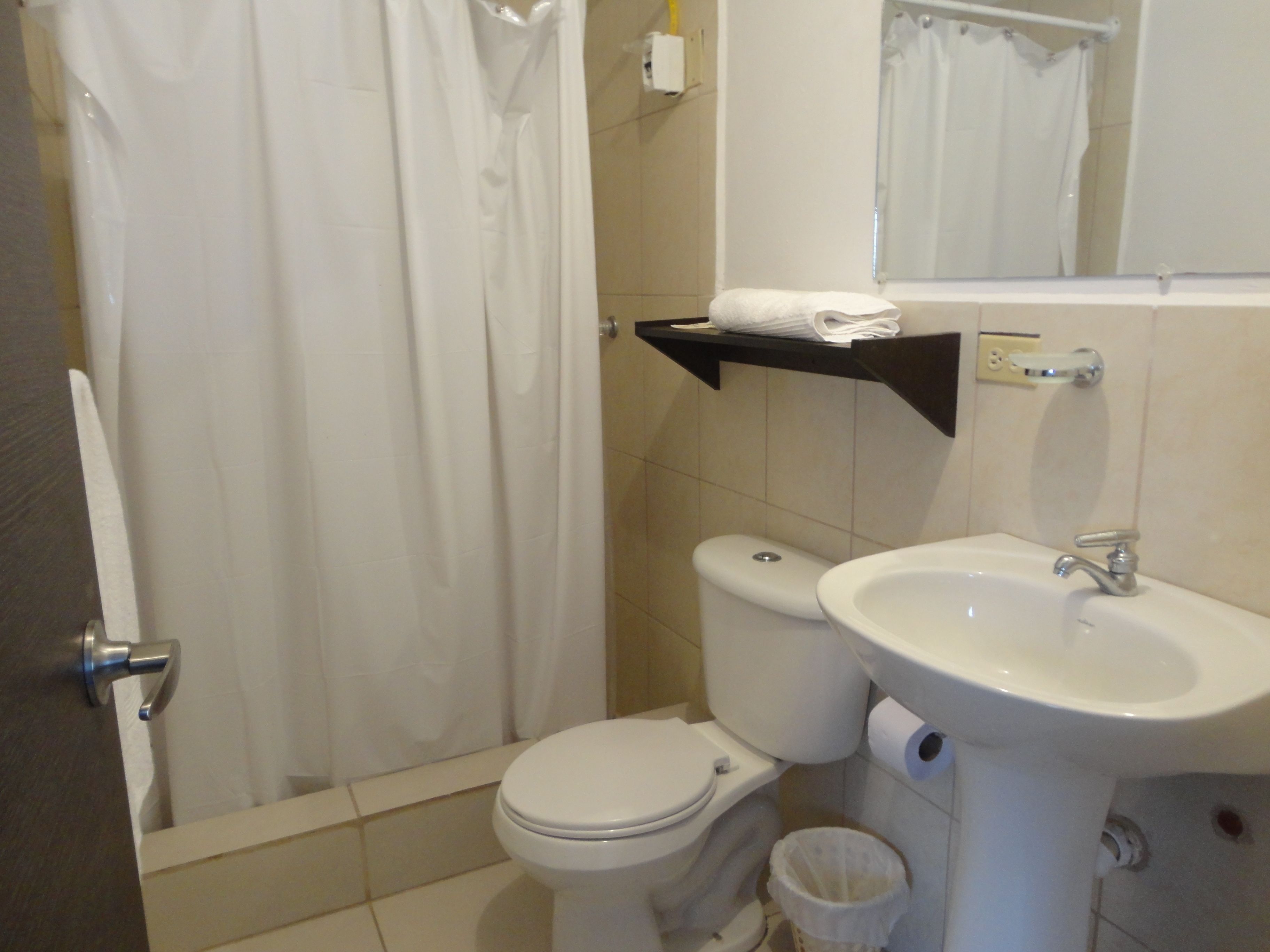 A bathroom with a toilet, sink, and shower curtain.