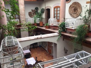 Property grounds - Casa del Pingorongo (Zacatecas)