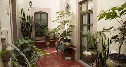 Casa del Pingorongo