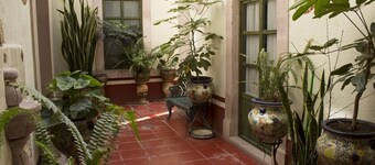 Casa del Pingorongo