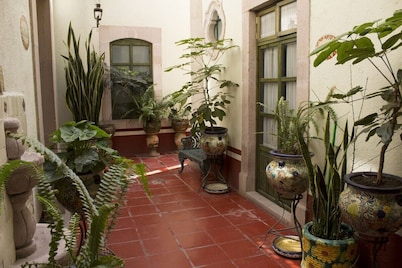 Casa del Pingorongo