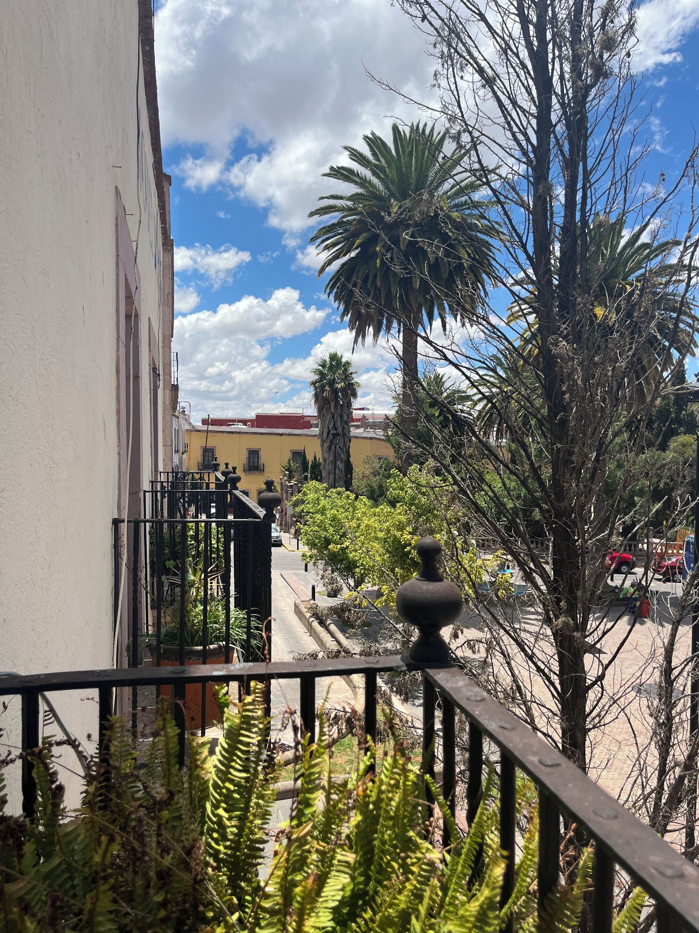 Suite familiar, vista a la ciudad | Vista a la ciudad