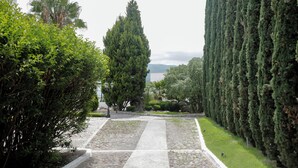A pathway leading through a garden with tall cypress trees on one side and a variety of shrubs on the other. - Quinta del Lago (Querétaro)