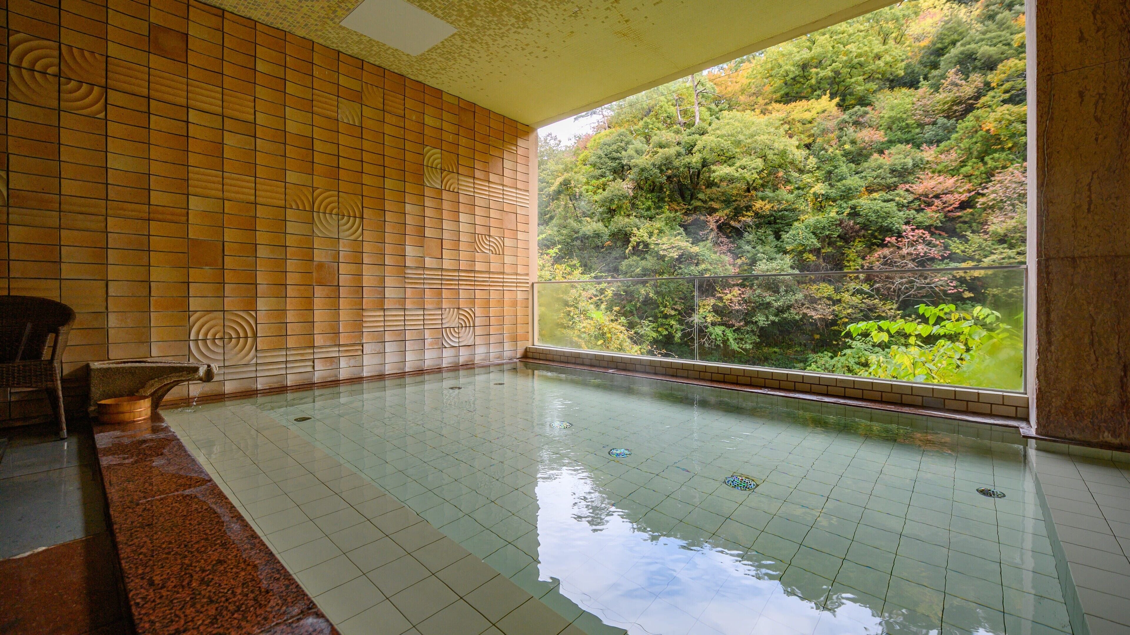 A swimming pool with tiled walls and a view of a forested area.