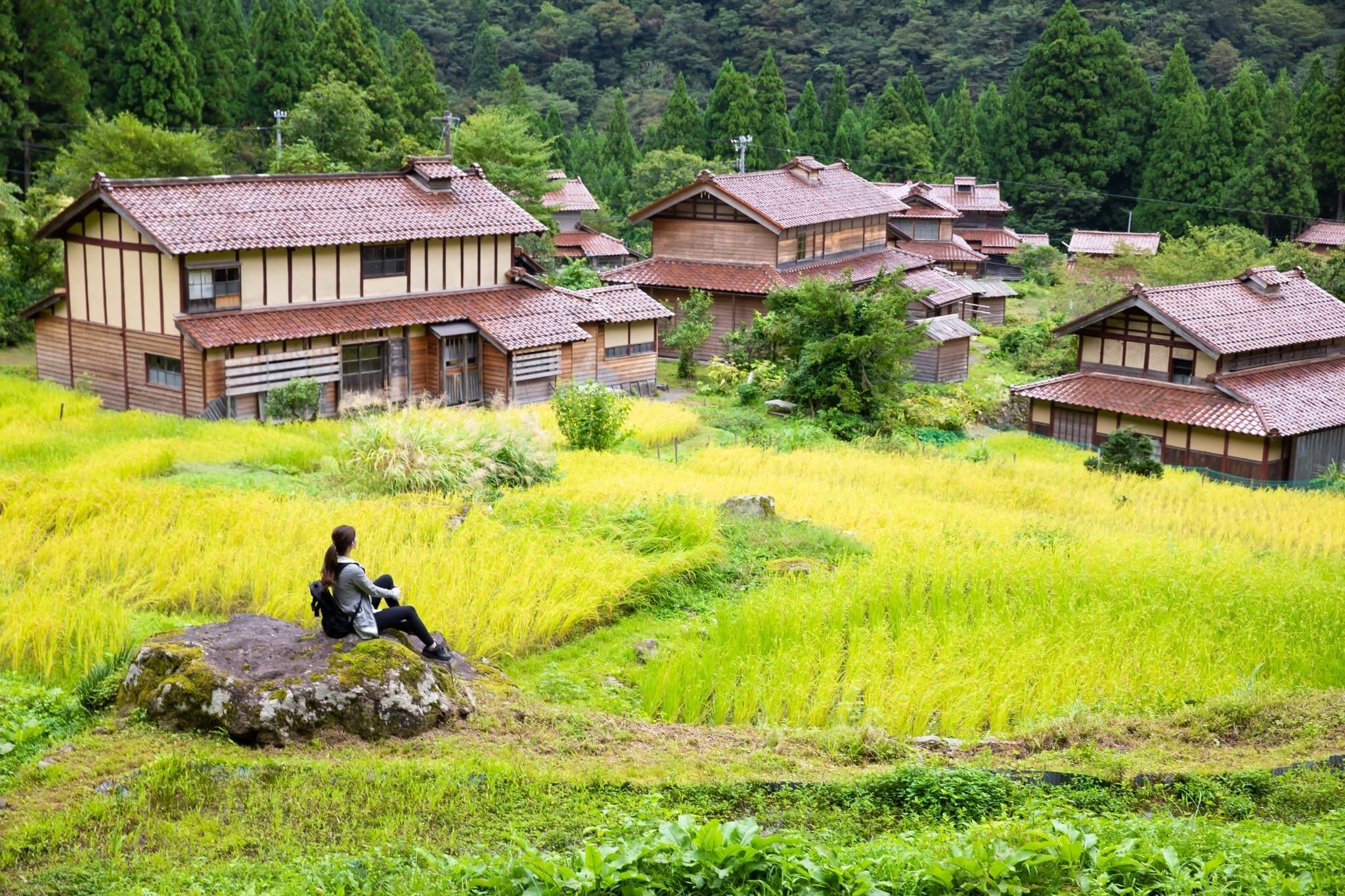 住宿景觀