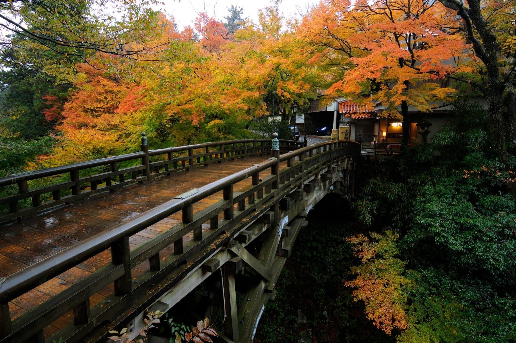 A wooden bridge over a stream with autumn foliage.