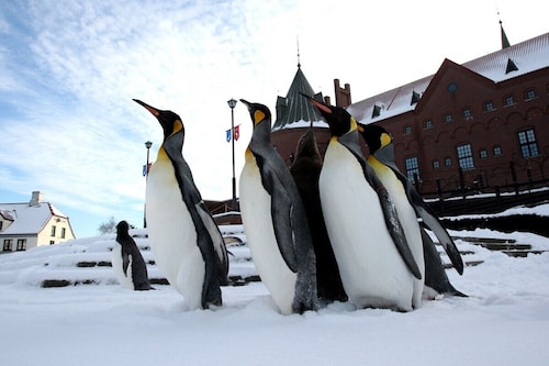 施設からの眺望