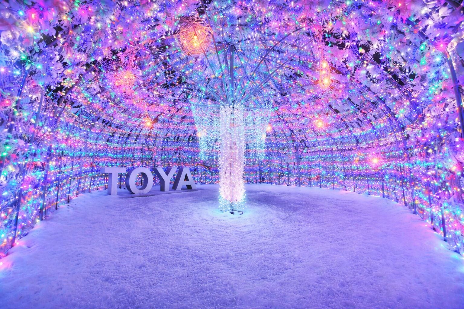 A tunnel with a tree structure and the word "TOYOTA" at the entrance.