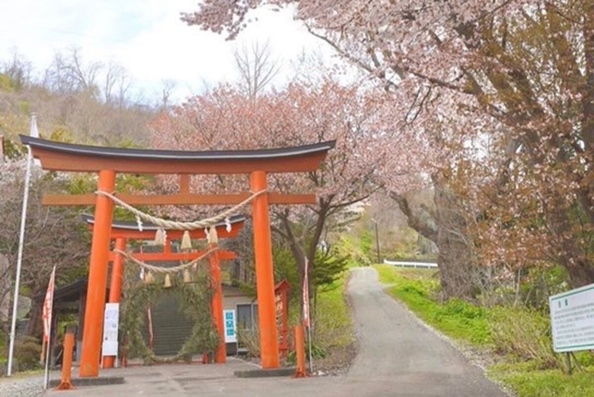 land view from property