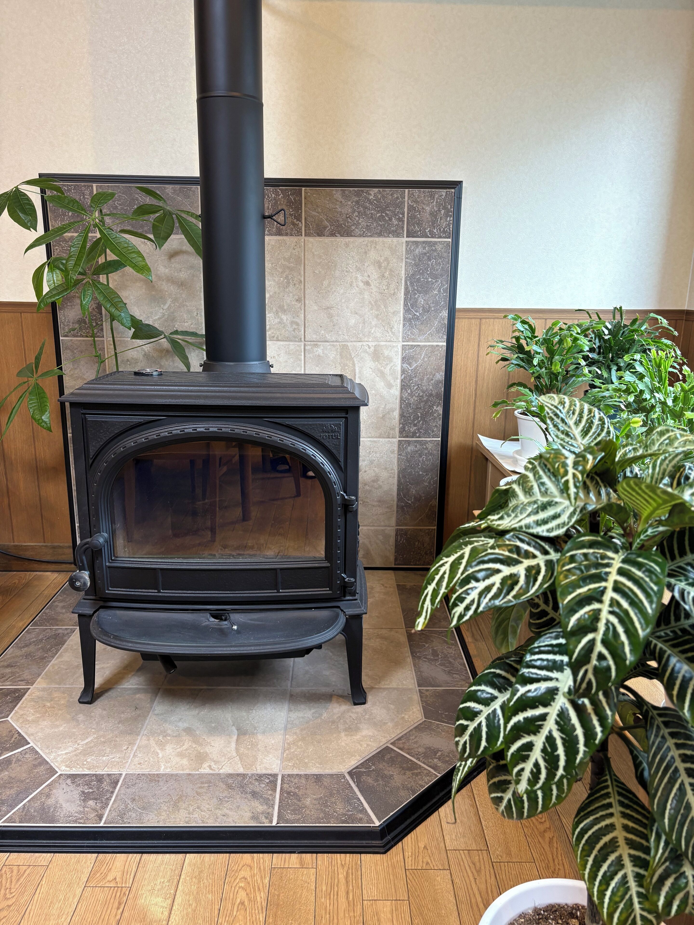 36-inch TV with satellite channels