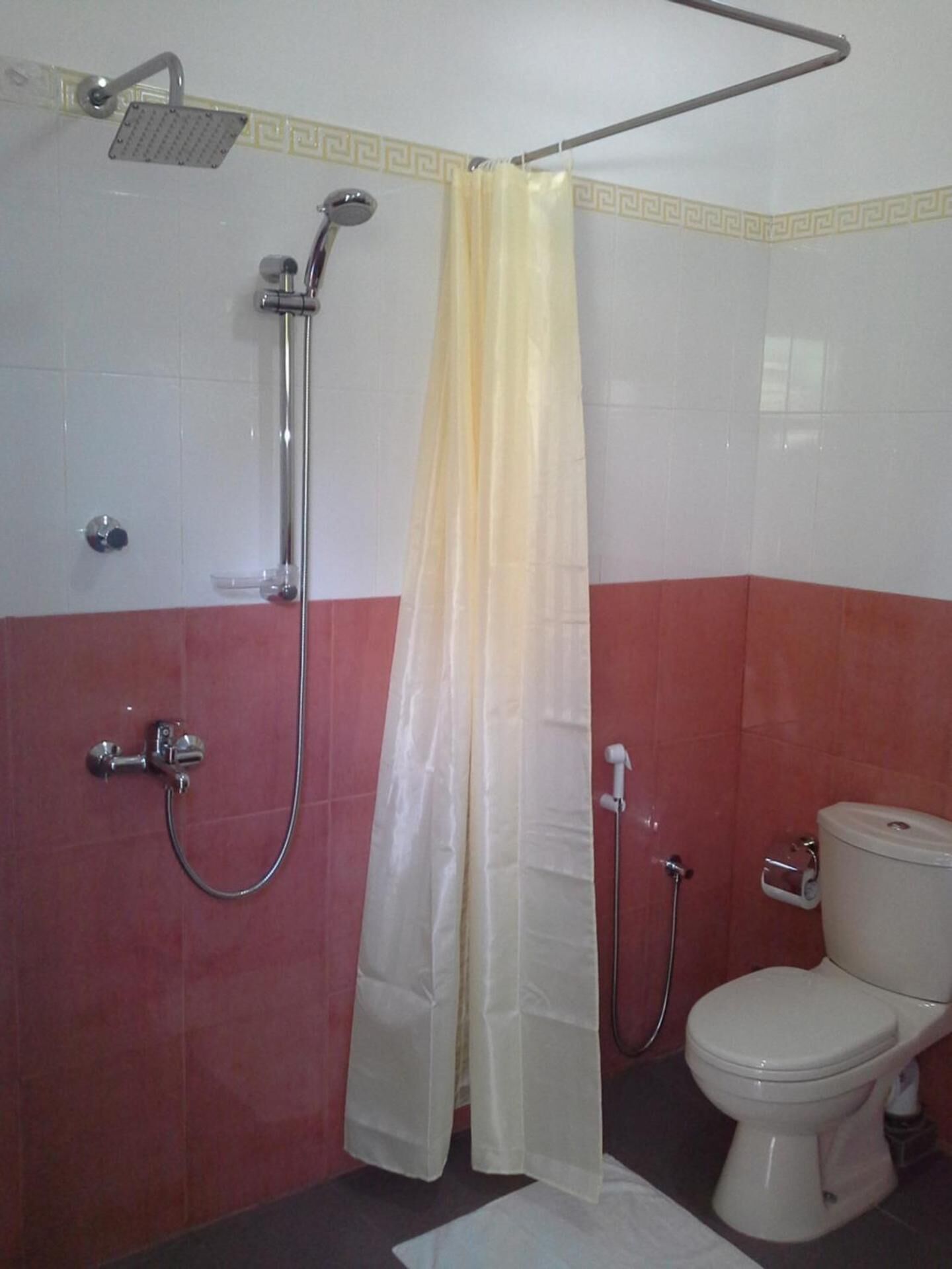 A bathroom with a shower, toilet, and a curtain.