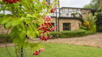 واجهة المنشأة