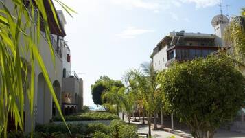 Una calle bordeada de edificios y follaje, con palmeras y arbustos.
