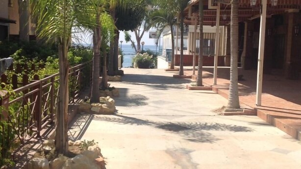 A pathway leading to a building with a view of the sea, surrounded by palm trees and a metal fence. - Sunrise Studios (Limassol)