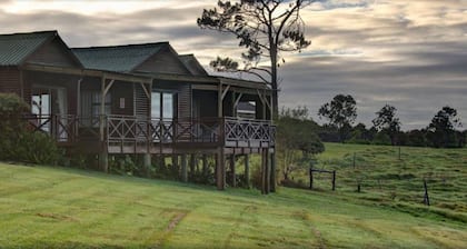 Misty Mountain Reserve
