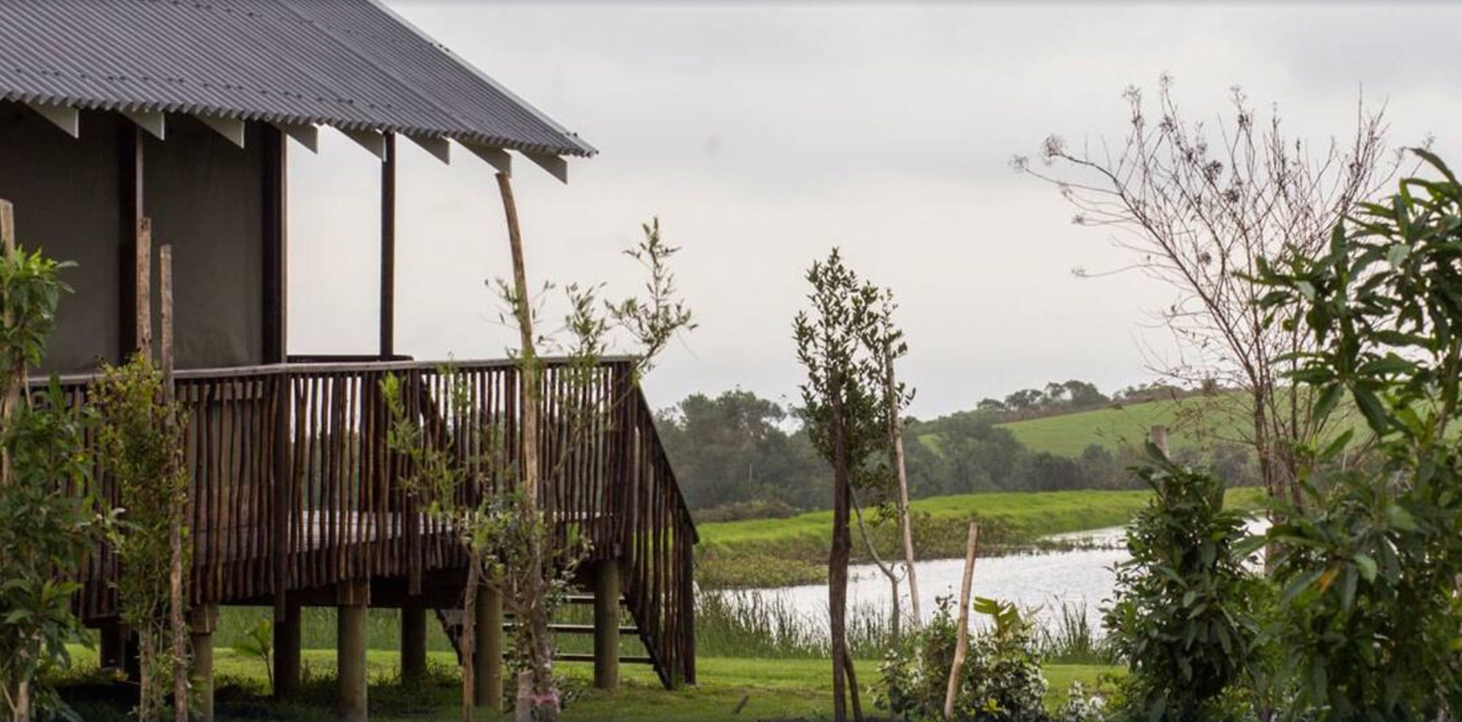 Premium bedding, in-room safe, desk, bed sheets