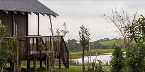 Premium bedding, in-room safe, desk, bed sheets