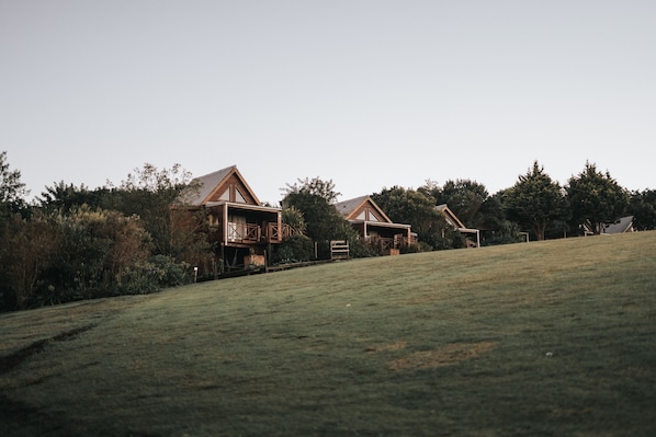 A rural setting with two wooden houses on a grassy hill, surrounded by dense trees.