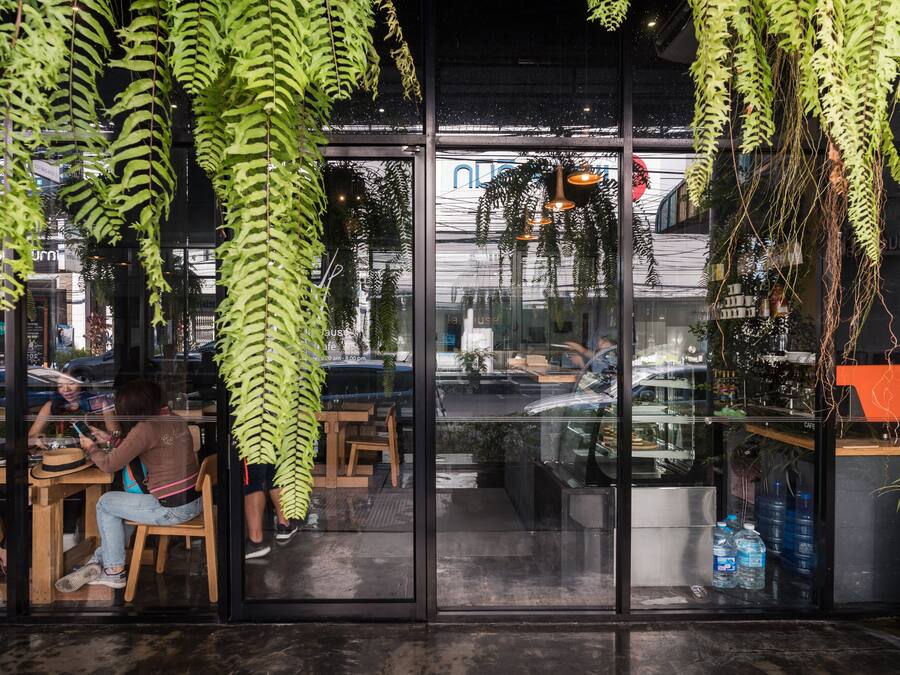 A cafe with large windows, indoor plants, and a visible street view.