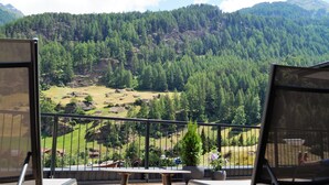 Un balcon offrant une vue sur un paysage montagneux, comprenant une vallée et des zones boisées.