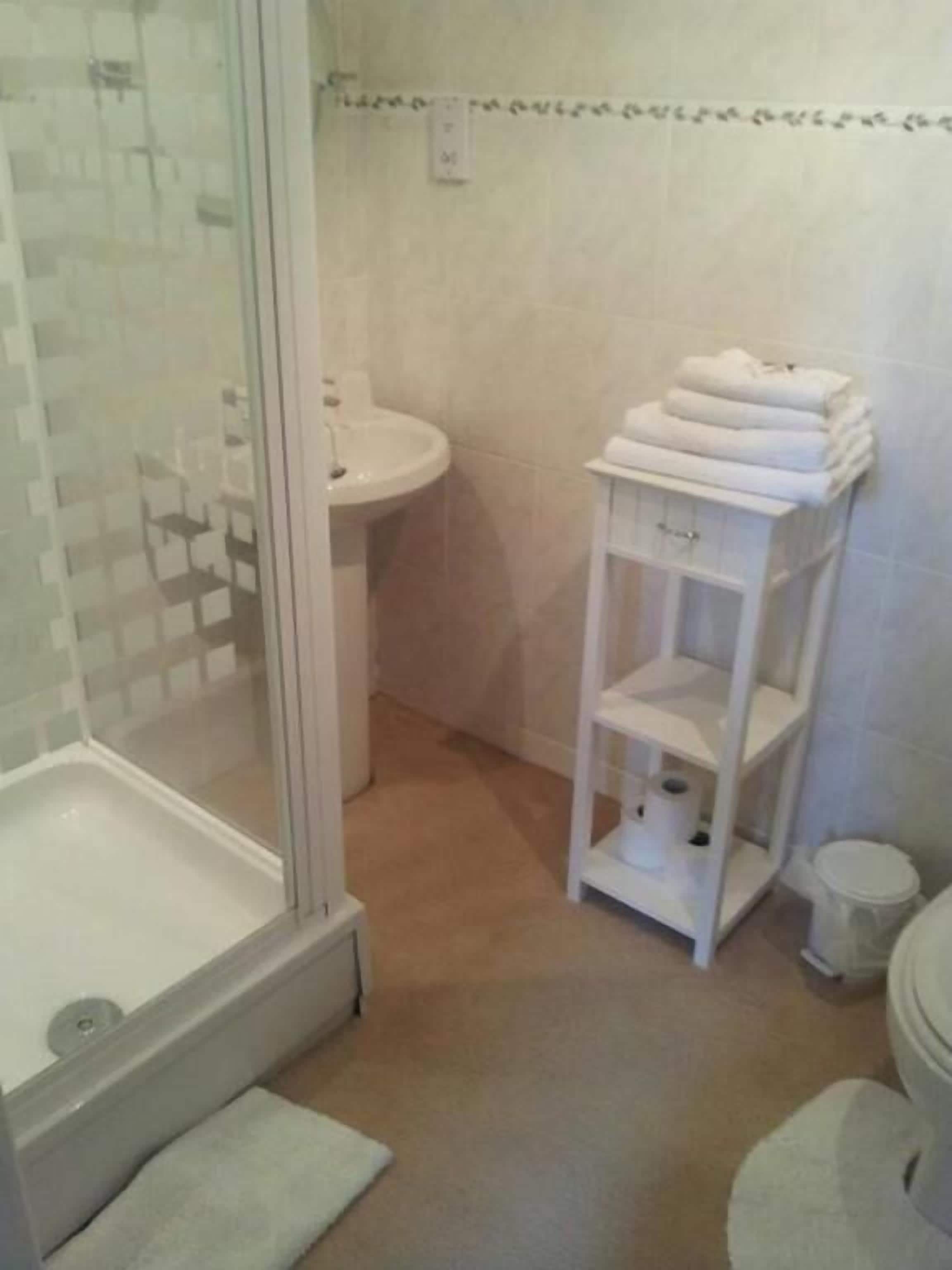 Une salle de bain avec une douche à parois de verre, un lavabo et un porte-serviettes blanc.