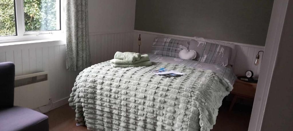 A bedroom with a bed, a chair, a window, and a radiator.