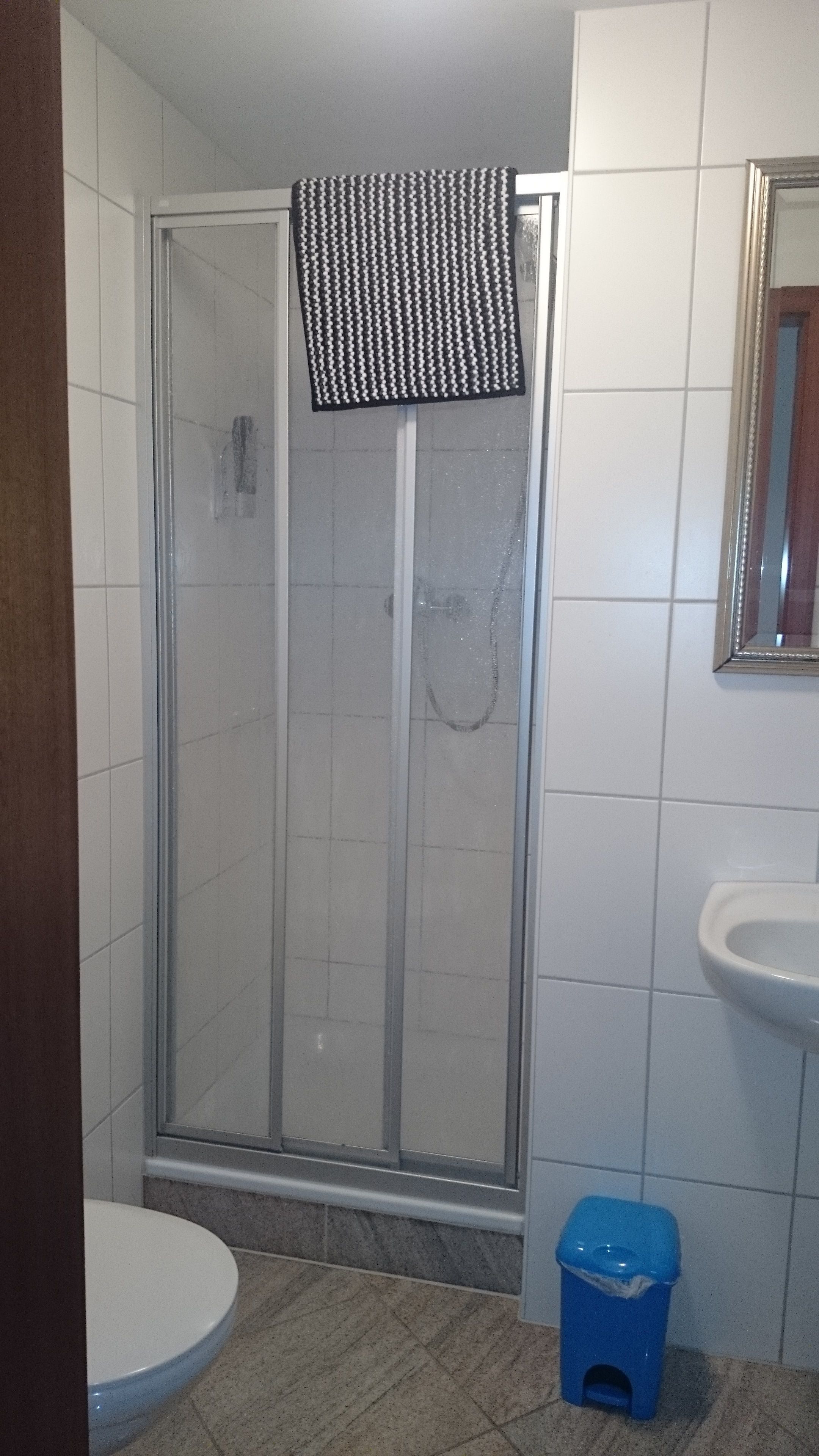 Un baño con cabina de ducha de vidrio, inodoro, lavamanos y un cubo de basura azul.