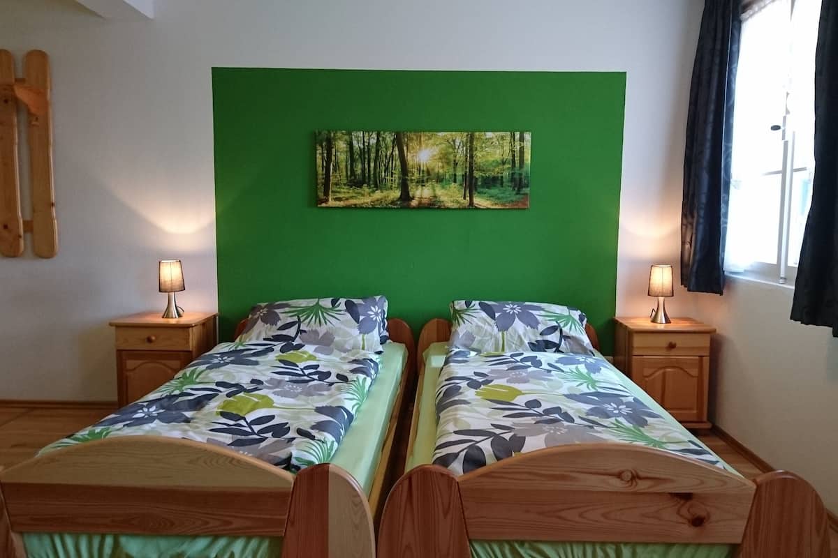 Classic tvåbäddsrum - 2 enkelsängar - utsikt mot bergen - intill bergen | Skrivbord, gratis wi-fi och sängkläder