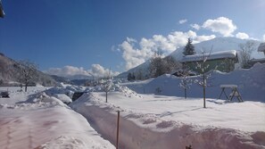 Classic Single Room, 1 Bedroom, Mountain View | Mountain view - Hotel Garni Forsthaus (Ruhpolding)