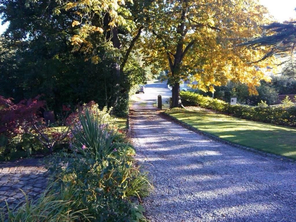 A gravel pathway flanked by lush greenery and trees with autumn foliage.
