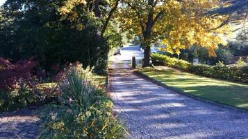 A gravel pathway flanked by lush greenery and trees with autumn foliage.