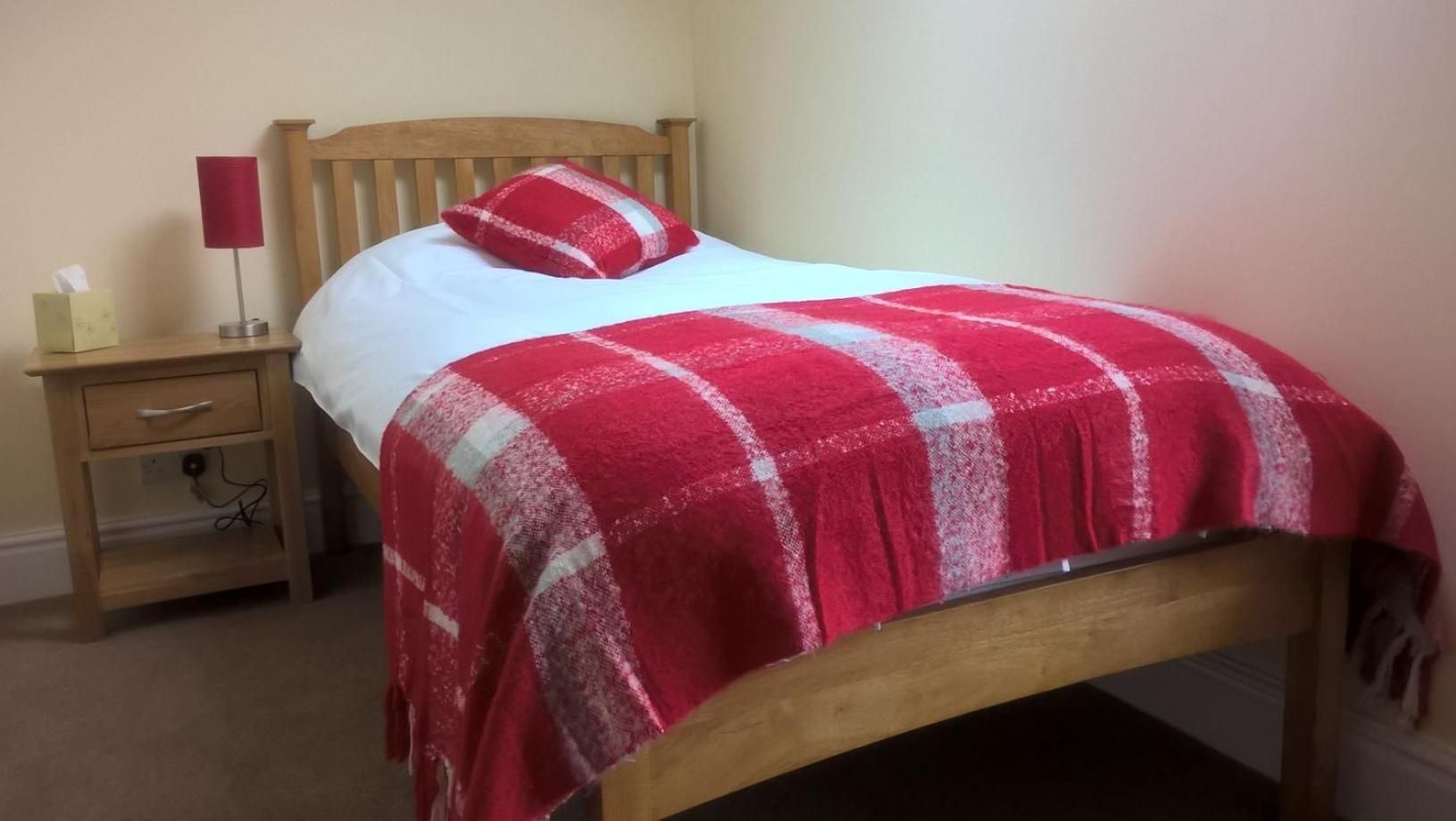 Uma cama de solteiro com um cobertor xadrez vermelho e branco, uma cabeceira de madeira, uma mesinha de cabeceira com abajur e uma gaveta.