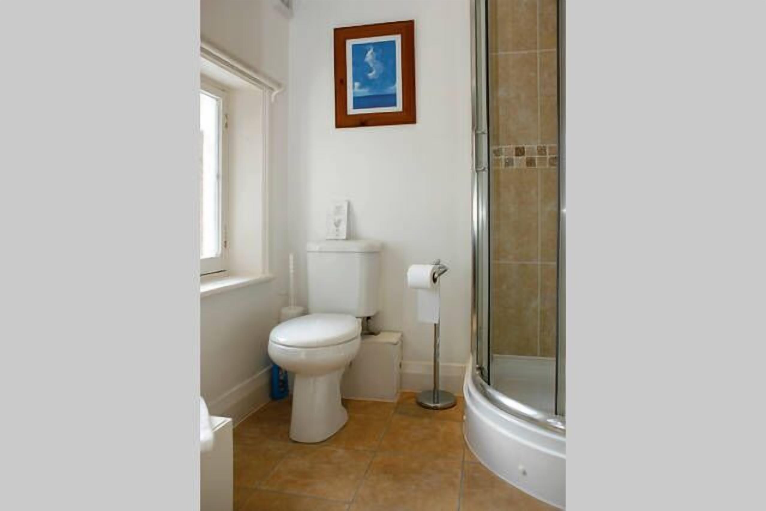 Un baño con inodoro, ducha y un cuadro en la pared.
